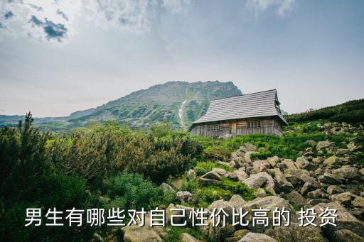 男生有哪些對(duì)自己性?xún)r(jià)比高的 投資