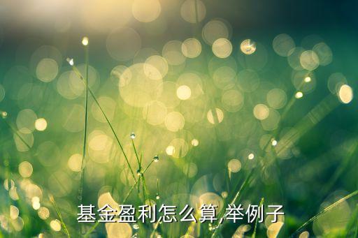 買(mǎi)基金收益如何,當(dāng)天買(mǎi)基金當(dāng)天有收益嗎