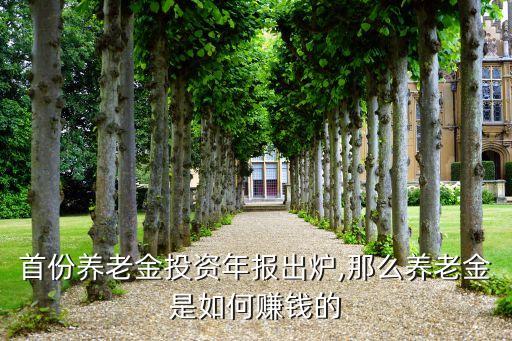 12年社?；饡?huì)資產(chǎn)
