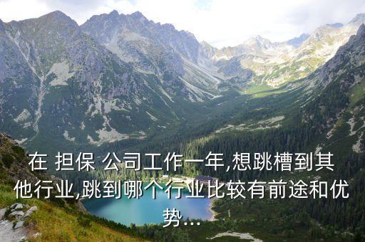 民營(yíng)擔(dān)保公司出路,中國民營(yíng)擔(dān)保公司排名