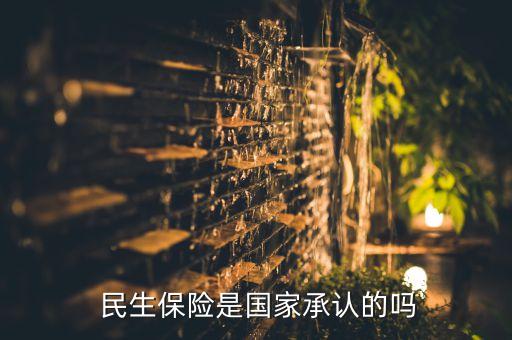  民生保險(xiǎn)是國家承認(rèn)的嗎