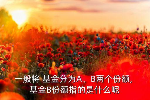 一般將 基金分為A、B兩個(gè)份額, 基金B(yǎng)份額指的是什么呢