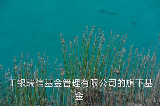 工銀大盤(pán)藍(lán)籌股票,什么是大盤(pán)藍(lán)籌股票