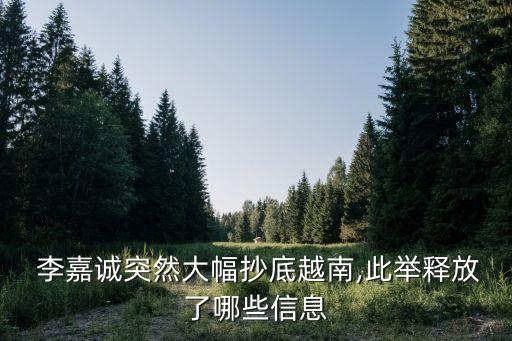  李嘉誠(chéng)突然大幅抄底越南,此舉釋放了哪些信息