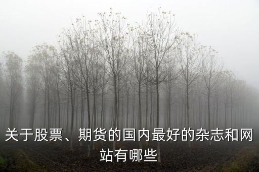 關(guān)于股票、期貨的國(guó)內(nèi)最好的雜志和網(wǎng)站有哪些