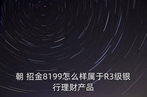 朝 招金8199怎么樣屬于R3級銀行理財產品