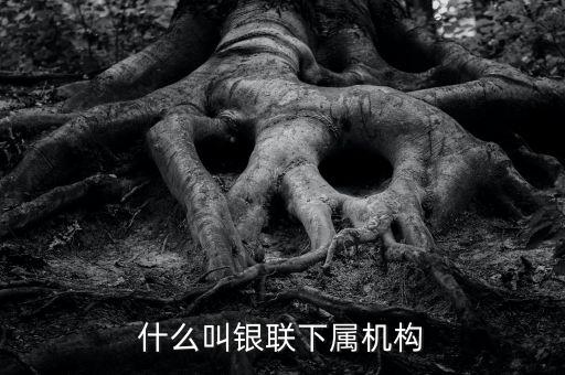 什么叫銀聯(lián)下屬機構(gòu)