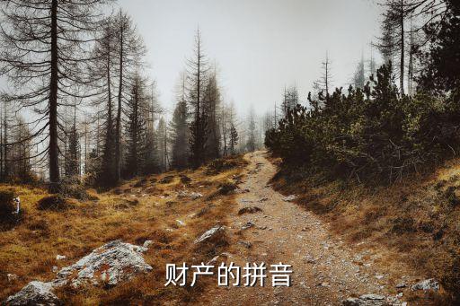 財(cái)產(chǎn)的拼音