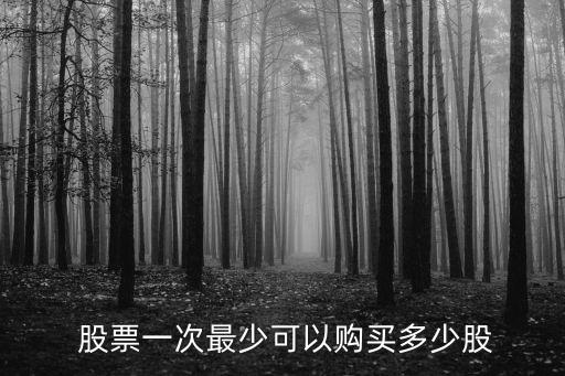  股票一次最少可以購(gòu)買(mǎi)多少股