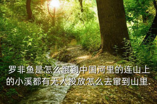 羅非魚是怎么跑到中國(guó)河里的連山上的小溪都有無(wú)人投放怎么去竄到山里...