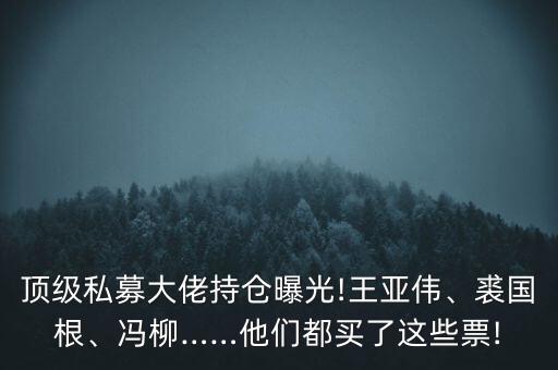 頂級私募大佬持倉曝光!王亞偉、裘國根、馮柳……他們都買了這些票!