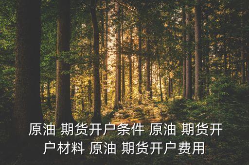  原油 期貨開(kāi)戶條件 原油 期貨開(kāi)戶材料 原油 期貨開(kāi)戶費(fèi)用