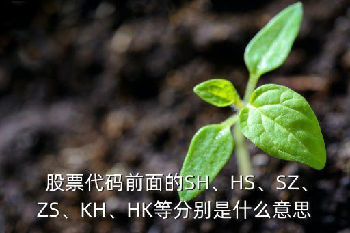  股票代碼前面的SH、HS、SZ、ZS、KH、HK等分別是什么意思