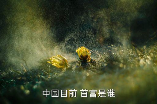 中國(guó)大陸首富是誰,2023中國(guó)大陸首富