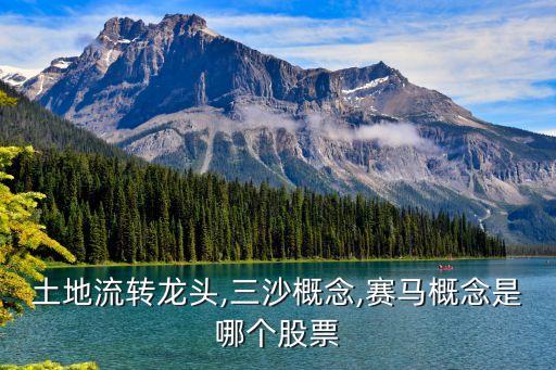 土地流轉龍頭,三沙概念,賽馬概念是哪個股票