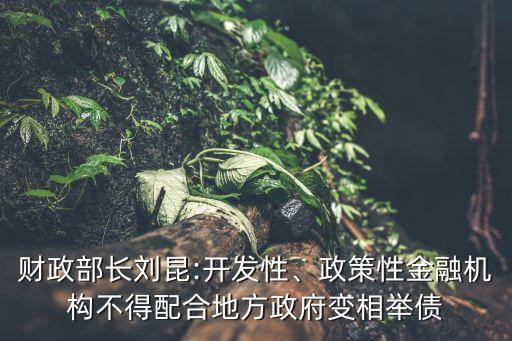 財政部長劉昆:開發(fā)性、政策性金融機構(gòu)不得配合地方政府變相舉債