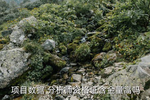  項目數據 分析師資格證含金量高嗎