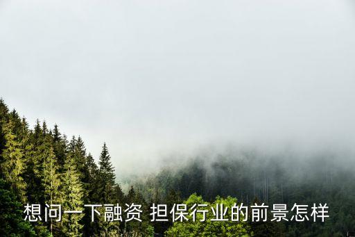 想問(wèn)一下融資 擔(dān)保行業(yè)的前景怎樣