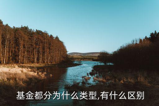 債券基金和混合基金,基金分為貨幣基金、債券基金和混合基金