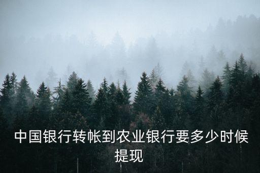  中國銀行轉帳到農業(yè)銀行要多少時候提現(xiàn)