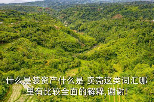 什么是裝資產什么是 賣殼這類詞匯哪里有比較全面的解釋,謝謝!