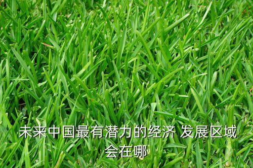  未來中國(guó)最有潛力的經(jīng)濟(jì) 發(fā)展區(qū)域會(huì)在哪