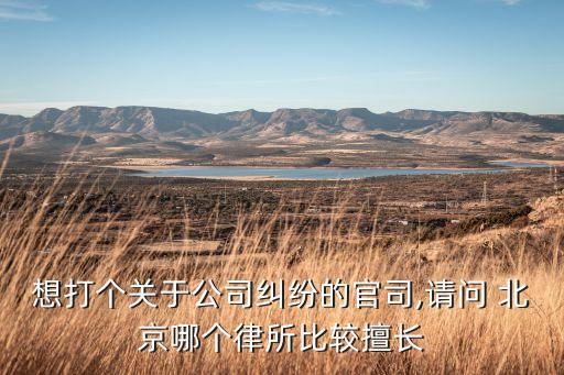 想打個關(guān)于公司糾紛的官司,請問 北京哪個律所比較擅長