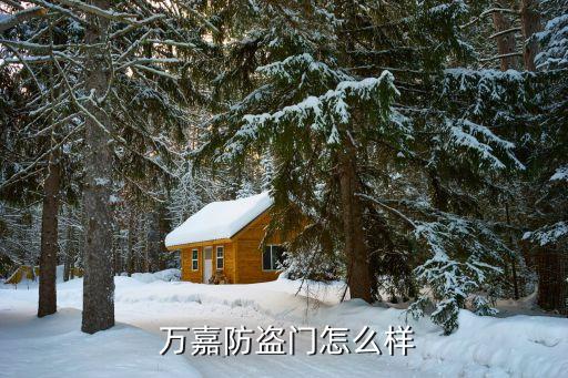  萬(wàn)嘉防盜門(mén)怎么樣