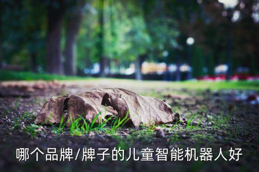 哪個品牌/牌子的兒童智能機(jī)器人好