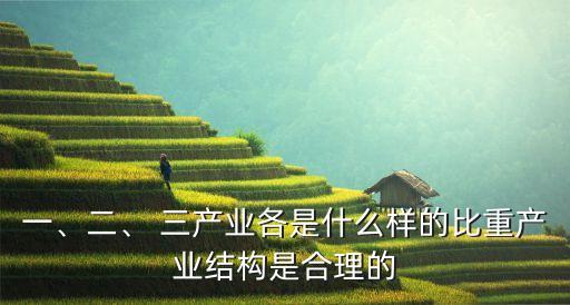 一、二、 三產(chǎn)業(yè)各是什么樣的比重產(chǎn)業(yè)結(jié)構(gòu)是合理的
