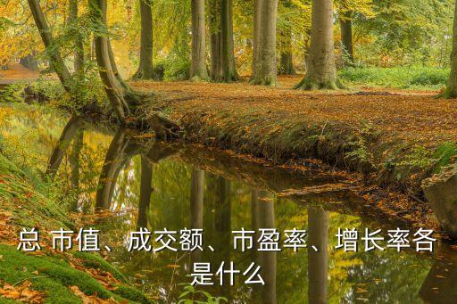 總 市值、成交額、市盈率、增長(zhǎng)率各是什么
