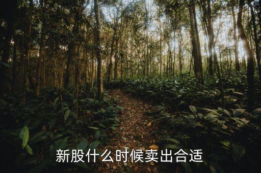拋售股票時(shí)機(jī),股票拋售沒(méi)人買(mǎi)怎么辦