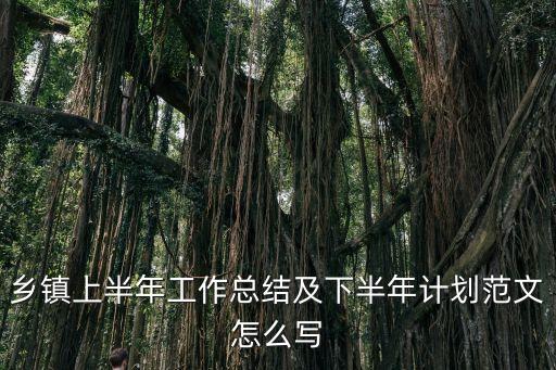 鄉(xiāng)鎮(zhèn)上半年工作總結及下半年計劃范文怎么寫