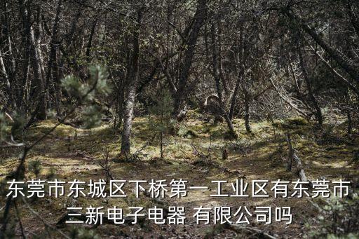 樂(lè)清市深登電氣有限公司