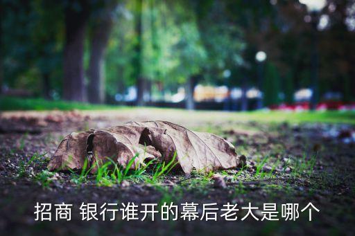 招商 銀行誰(shuí)開的幕后老大是哪個(gè)
