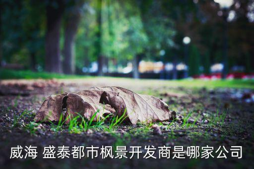 盛泰集團地產有限公司,寧波興業(yè)盛泰集團有限公司怎么樣