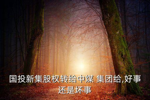 國投新集股權轉給中煤 集團給,好事還是壞事