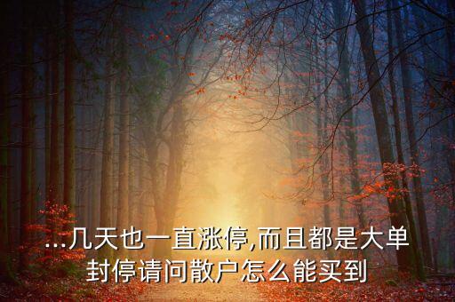 ...幾天也一直漲停,而且都是大單封停請(qǐng)問(wèn)散戶怎么能買(mǎi)到