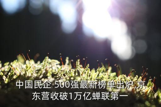 中國(guó)民企 500強(qiáng)最新榜單出爐,京東營(yíng)收破1萬(wàn)億蟬聯(lián)第一