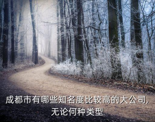 成都市有哪些知名度比較高的大公司,無(wú)論何種類型