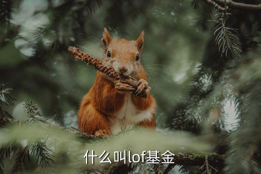 上?？缡袌?chǎng)etf,跨市場(chǎng)ETF