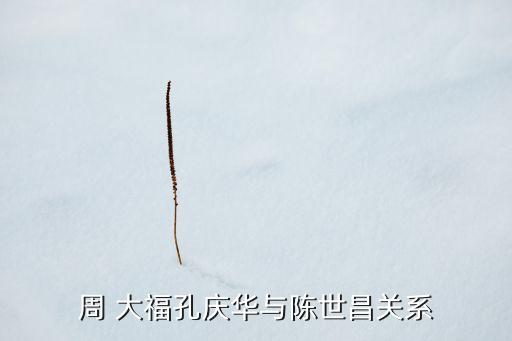 周 大?？讘c華與陳世昌關系