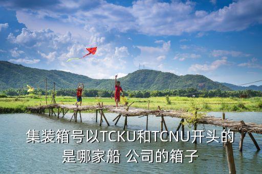 集裝箱號(hào)以TCKU和TCNU開(kāi)頭的是哪家船 公司的箱子