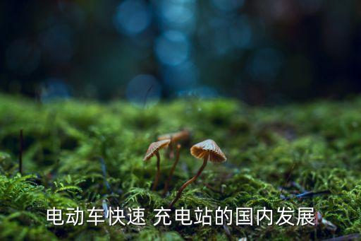 上海停車場(chǎng)充電樁建設(shè)規(guī)劃,上海迪士尼停車場(chǎng)有充電樁嗎