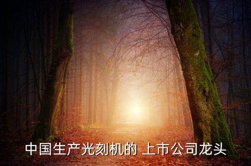 中國生產光刻機的 上市公司龍頭