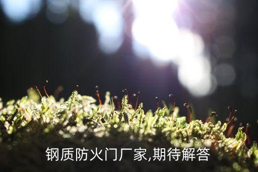 鋼質(zhì)防火門(mén)廠家,期待解答