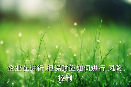 企業(yè)在進行 擔(dān)保時應(yīng)如何進行 風(fēng)險控制