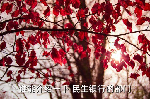誰(shuí)能介紹一下 民生銀行的部門