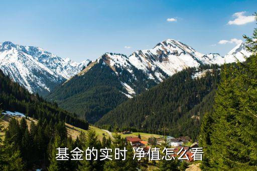  基金的實時 凈值怎么看