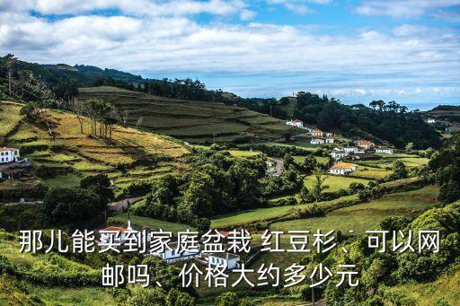 那兒能買到家庭盆栽 紅豆杉、可以網(wǎng)郵嗎、價格大約多少元